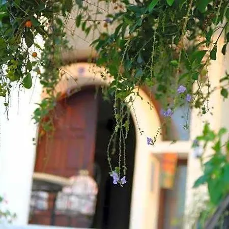 Meryem's Bellapais